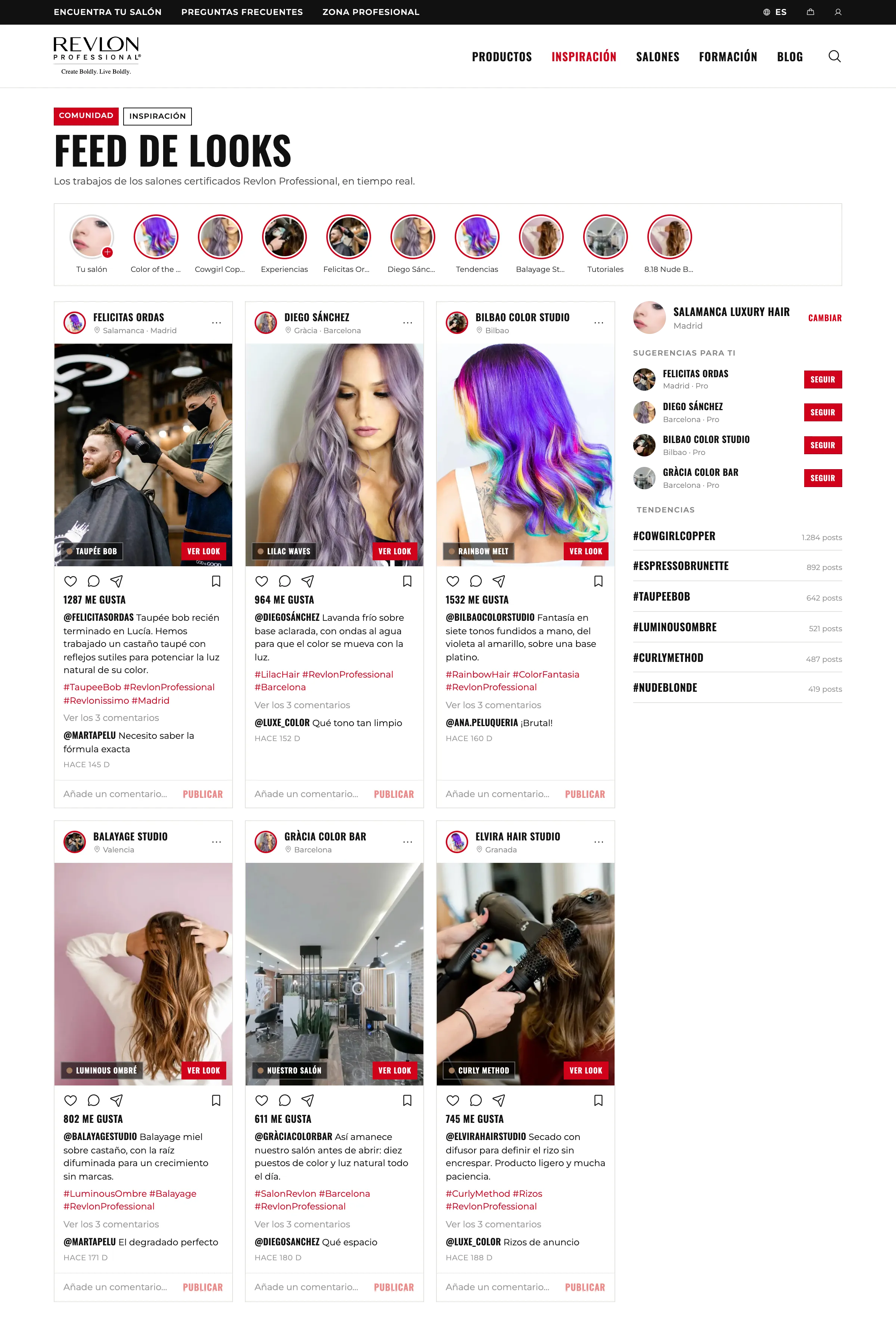 Concept · Looks feed